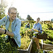 Community gardening activity