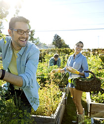 jardin communautaire