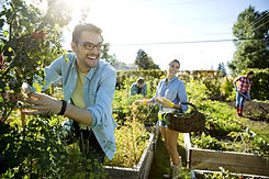 Community Garden