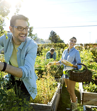 Gardening