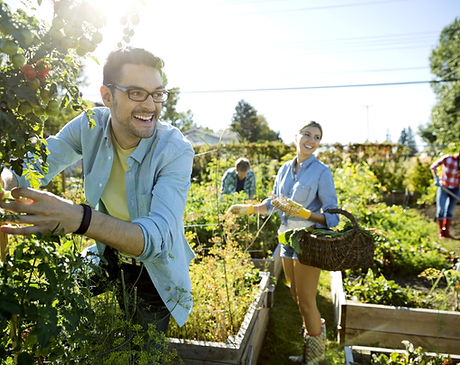 Community Garden