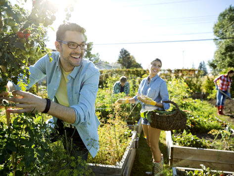 Farm-to-table and other popular green initiatives & inner-city community gardens