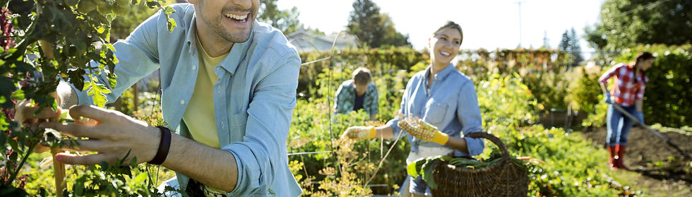 Community Garden