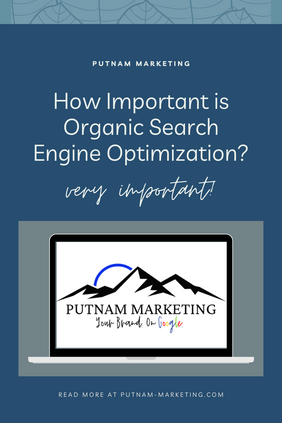 How Important is Organic Search Engine Optimization?