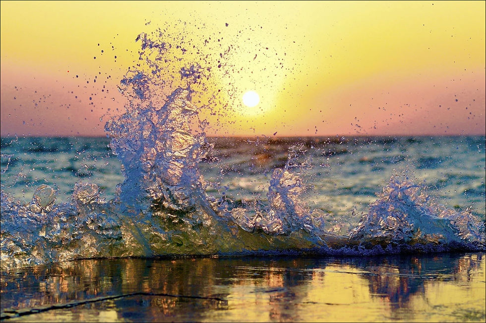 Christine Charest Cultivate Peace, Compassion and Vibrant Joy