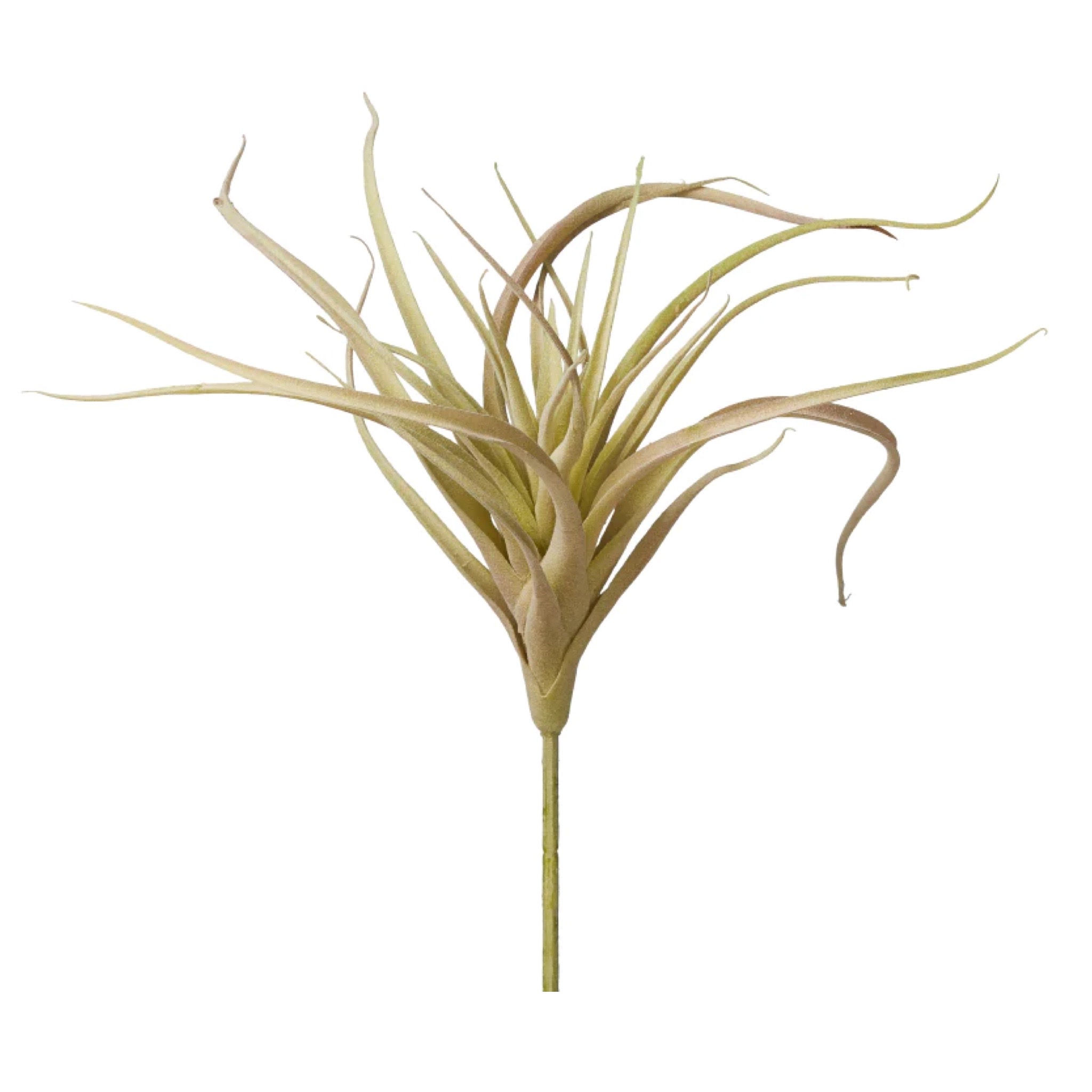 9" Green/Red Airplant