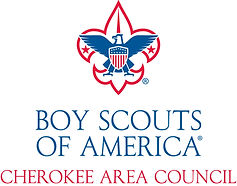 Boy Scout.jpg