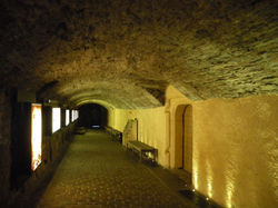 Palace Vaults