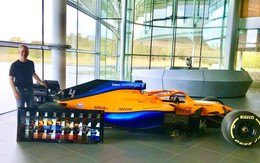 IMG_2054-768x483.jpeg