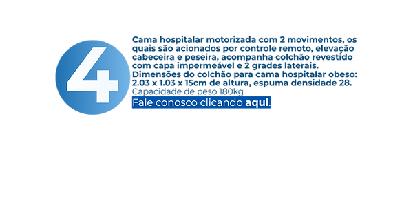 Viva Nice Medical 2025 (29).png