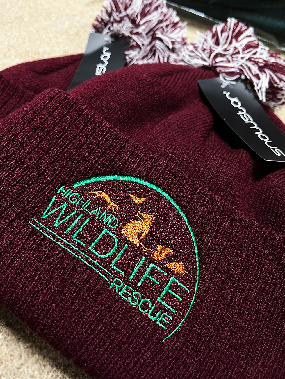 Thumbnail: HWR Soft Touch Beanie