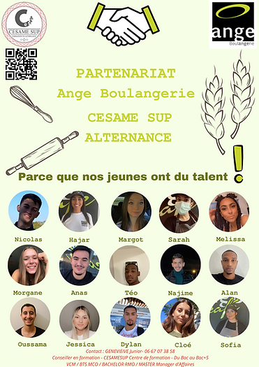 Copie de PARTENARIAT (2).png