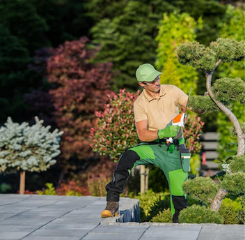 Gardener pruning a sculpted tree