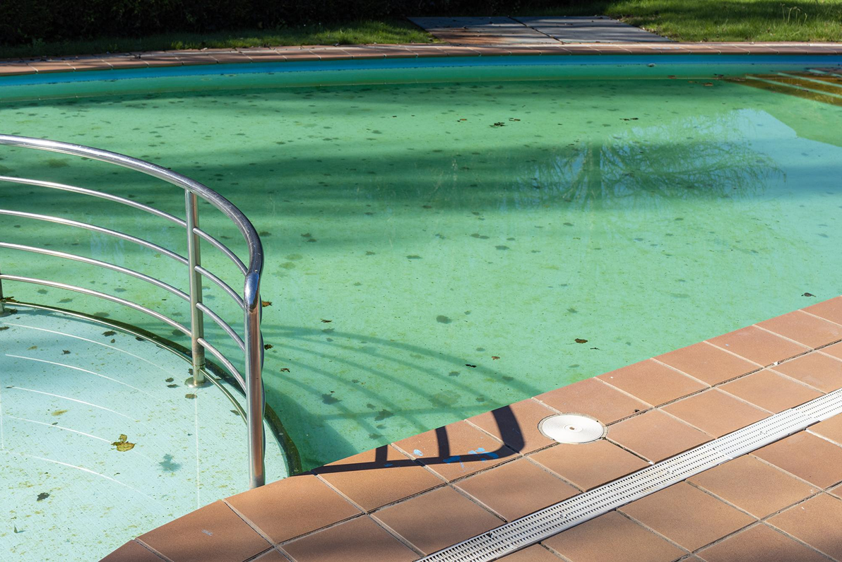 Dirty green pool with a metal handrail and tiled edges. Water Treatment needed.