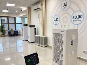 Top Ways to Improve Indoor Air Quality Naturally