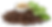 png-coffee-green-ingredient-transparent-background 1.png