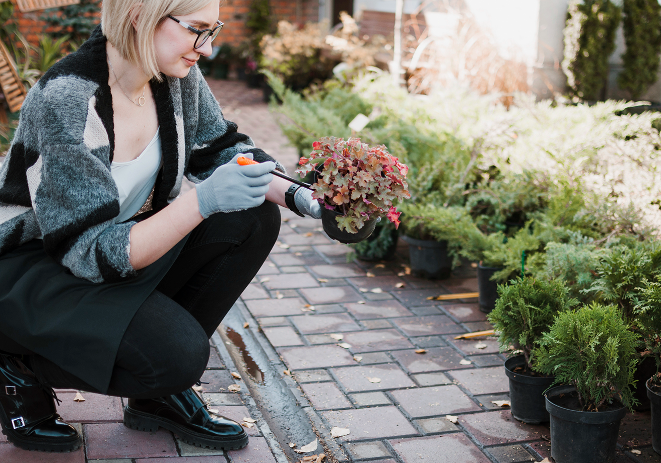 Woman tending to plants on a paved path