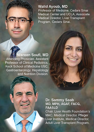 Walid Ayoub, Nisreen Soufi & Sammy Saab.png
