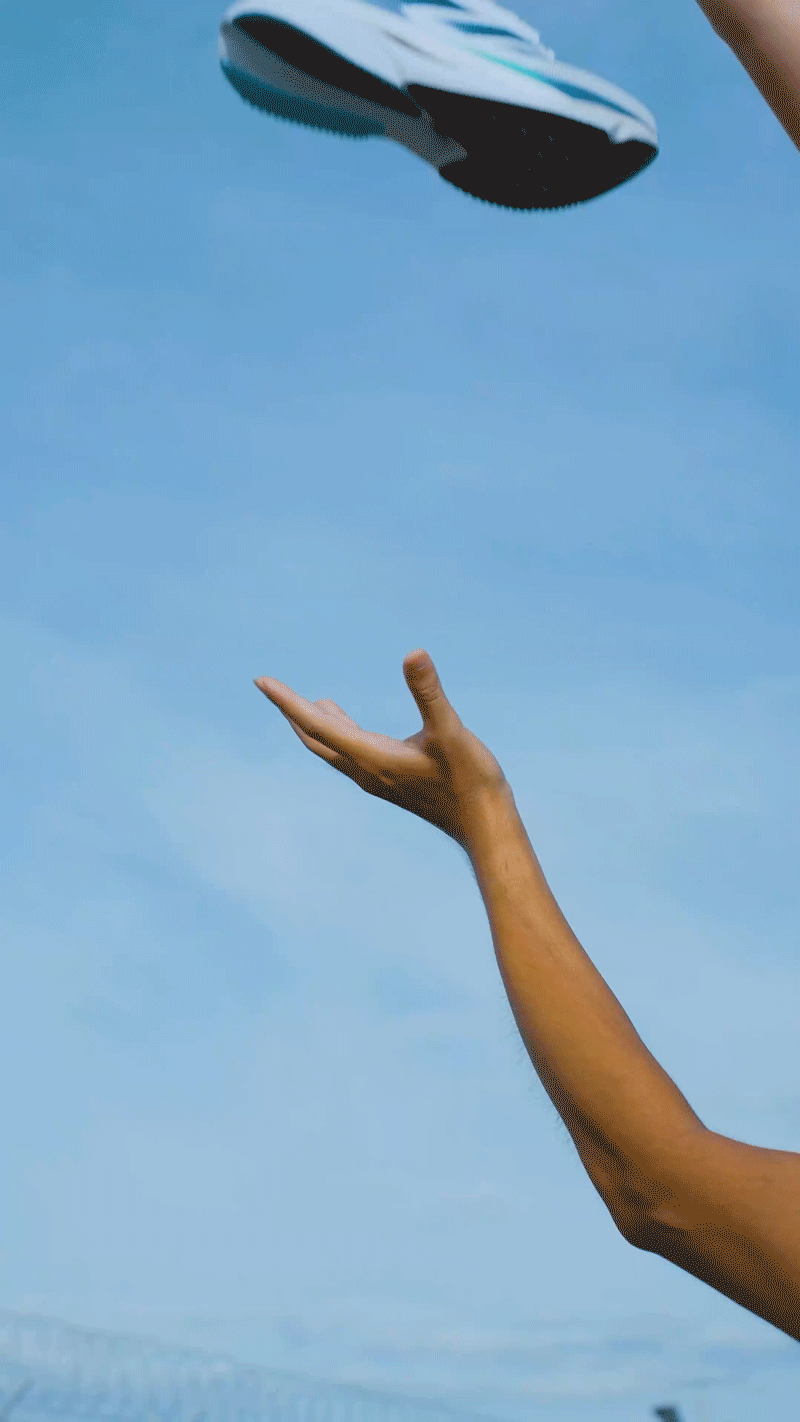 comp_c05.gif