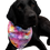Thumbnail: black lab tie die bandana