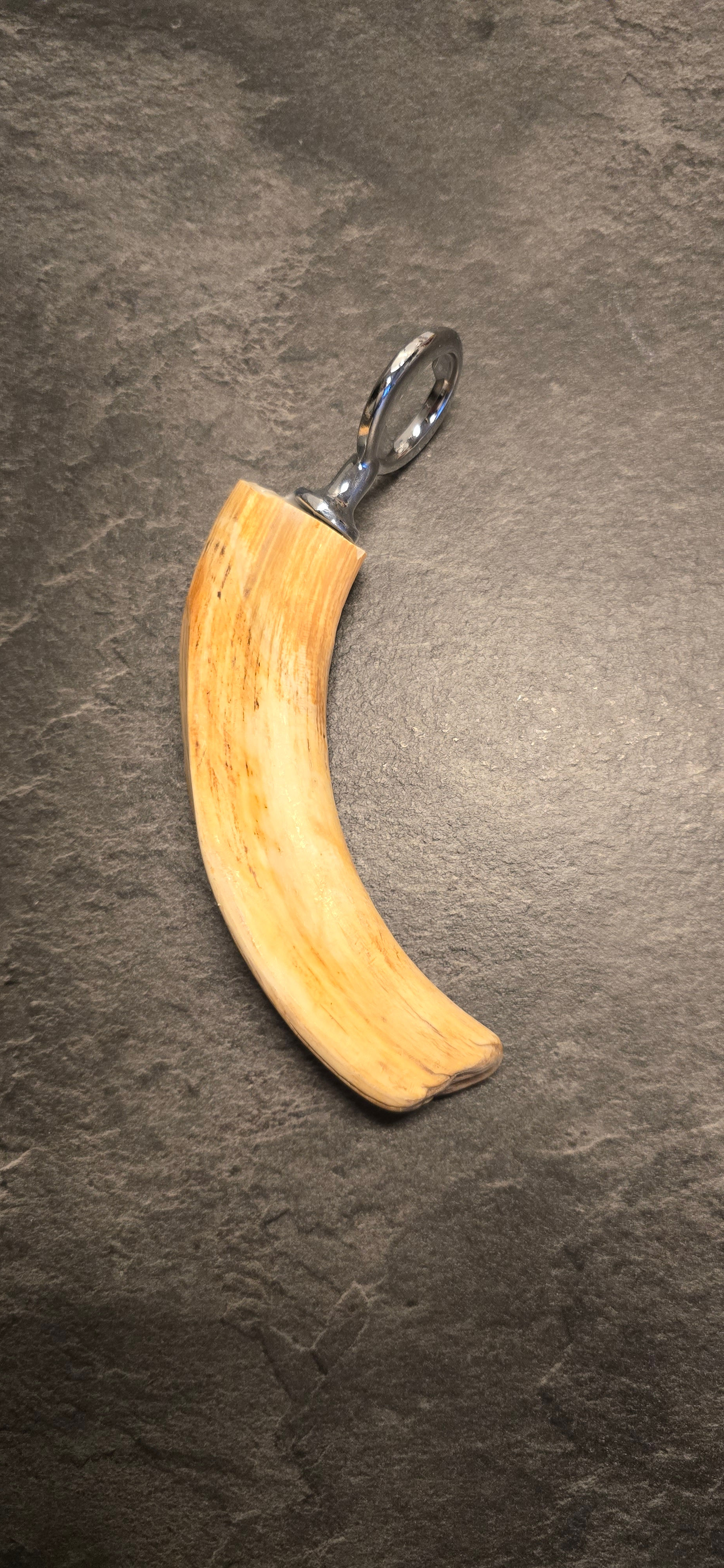 Flaschenöffner aus echtem Warzenschweinzahn