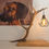 Miniaturbild: Rothirsch Stehlampe E27 Fassung