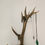 Miniaturbild: Schmuckständer aus 14-Ender Hirschgeweih auf Eichenholzplatte