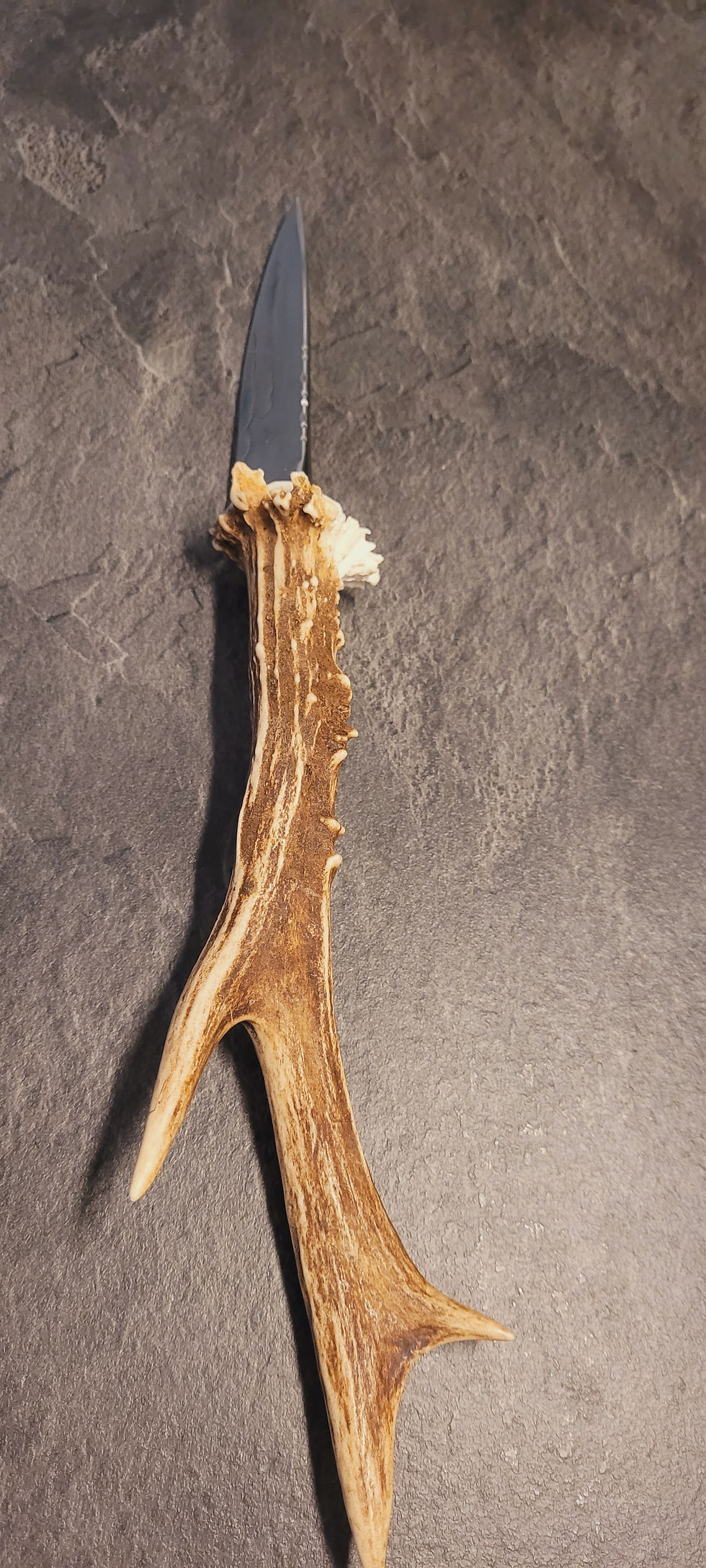 Miniaturbild: Küchenmesser Rehbock -31cm-