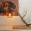 Miniaturbild: Rothirsch Stehlampe Geweih