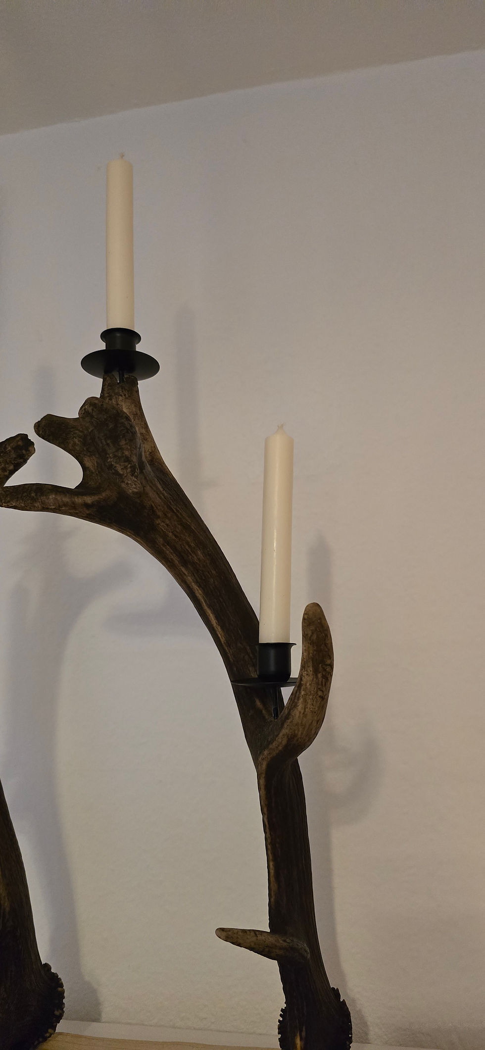Miniaturbild: Kerzenständer Geweih