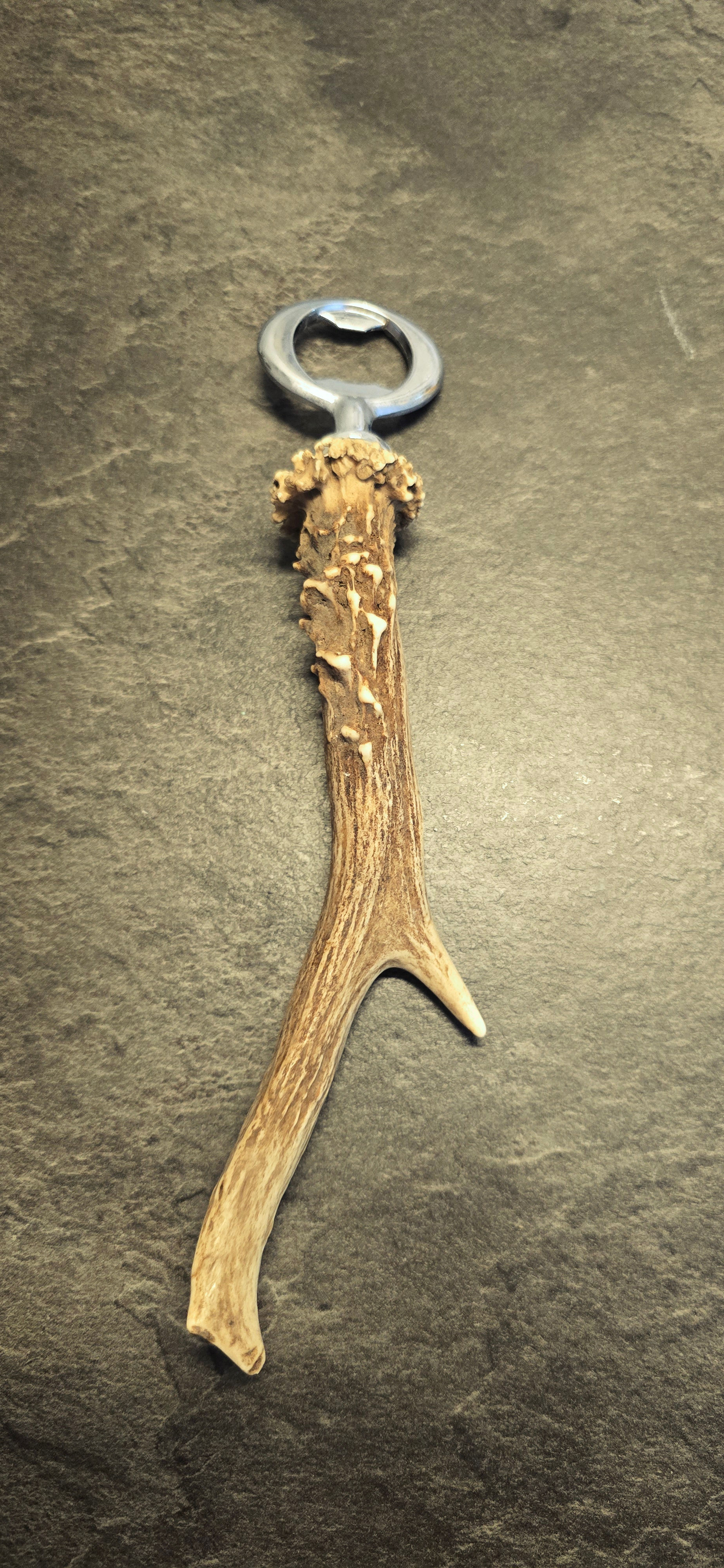 Flaschenöffner Geweih Rehbock 23cm