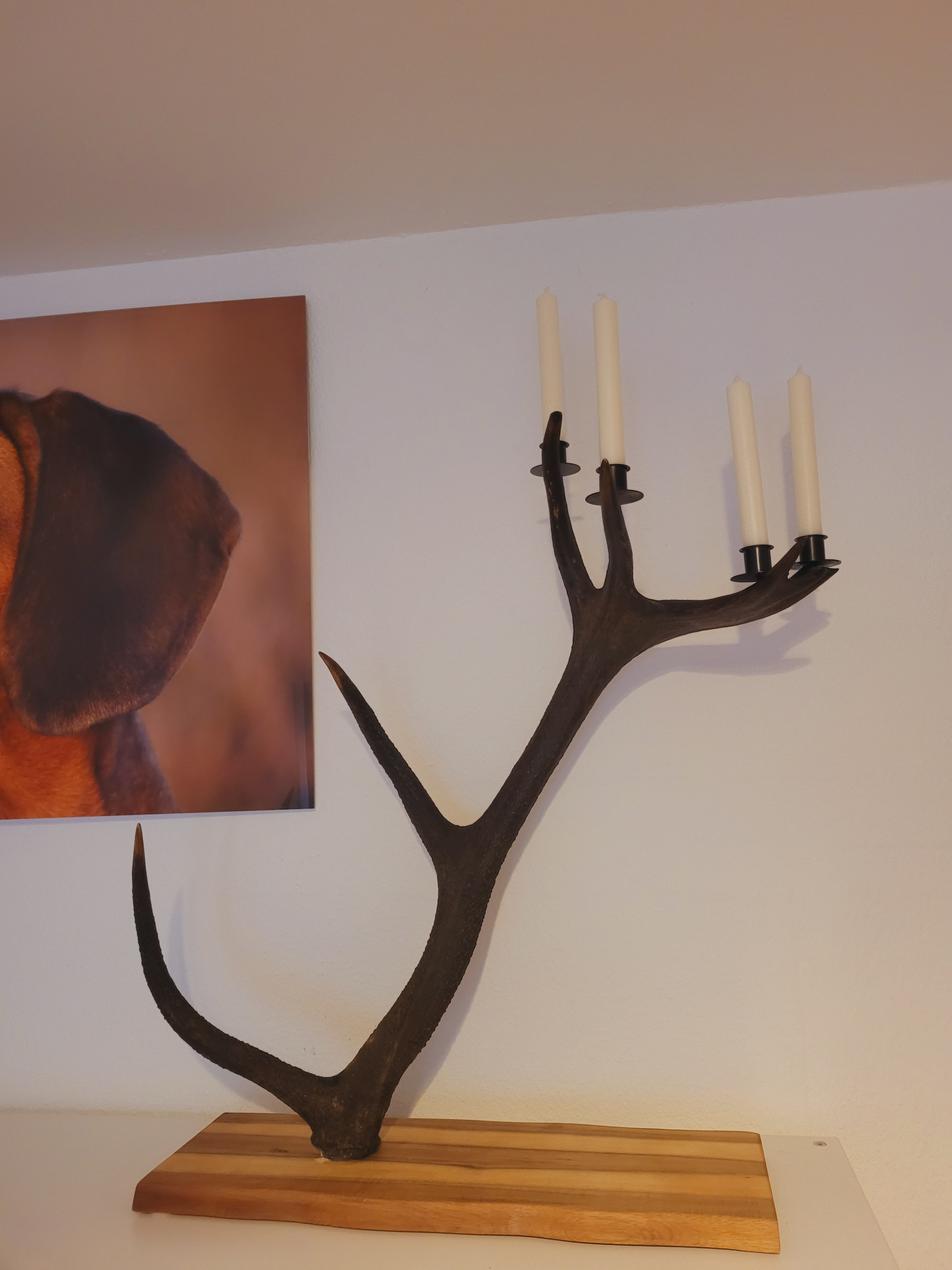Rothirsch Kerzenständer