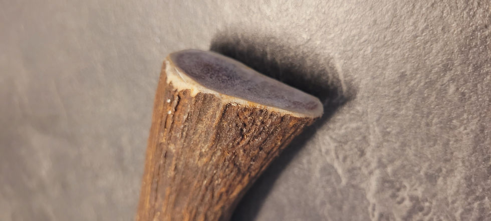 Miniaturbild: Flaschenöffner Hirsch 18,5cm