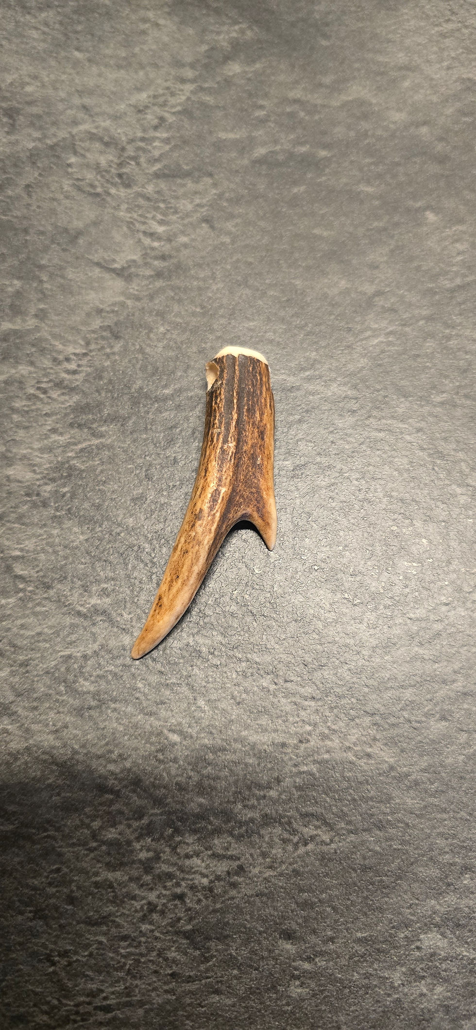 Miniaturbild: Handgefertigter Trachtenschmuck, feine Halskette mit einem naturbelassenen Anhänger aus Hirschgeweih.