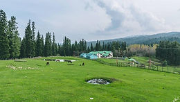 Best of Kashmir free Shikara Ride