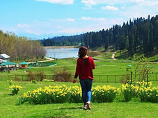 kashmir tourism places   