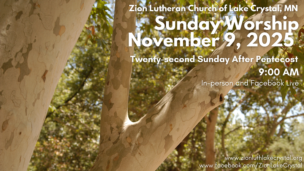 November 9, 2025 Online Resources for Worship