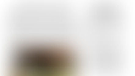 September Newsletter