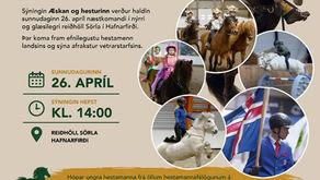 Æskan og Hesturinn