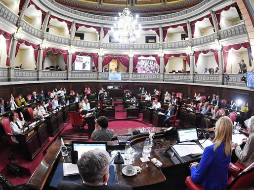 Tensión política en la Provincia: el Senado debate la suspensión de las PASO