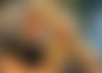 Sanción vial a Eugenia Rolón tras un incidente de tránsito en la Costa