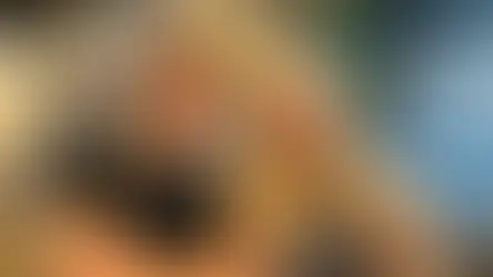 Sanción vial a Eugenia Rolón tras un incidente de tránsito en la Costa