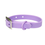 Thumbnail: Customisable Dog Collars