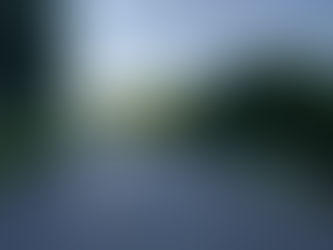 Verkehrsunfall mit eingeklemmter Person