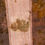 Thumbnail: Ecoprinted bib