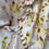 Thumbnail: tablecloth, printed and hand stitched