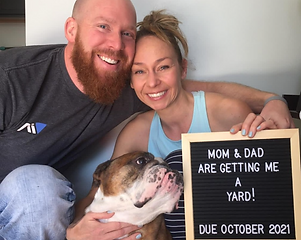 Adoption english bulldog happy family