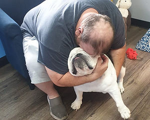 Previously surrendered english bulldog reunited with former owner