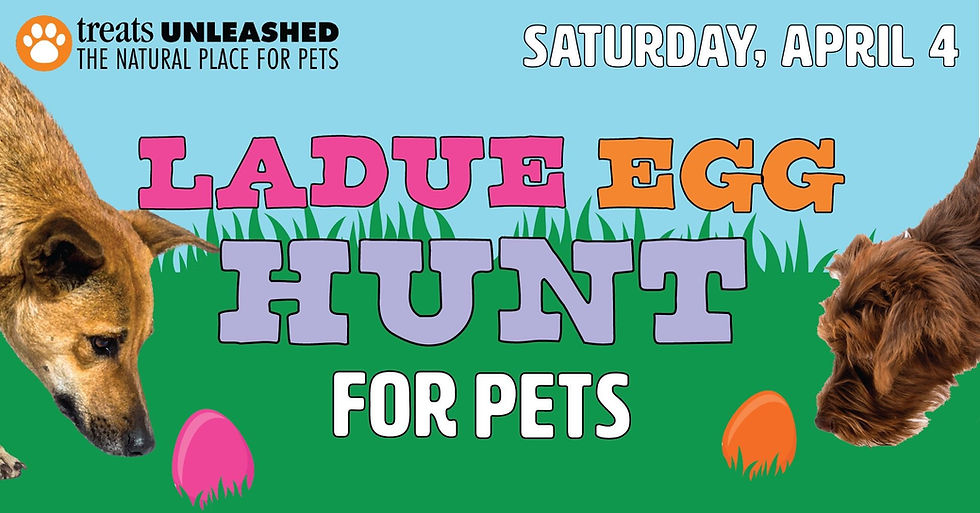 Ladue Egg Hunt For Pets