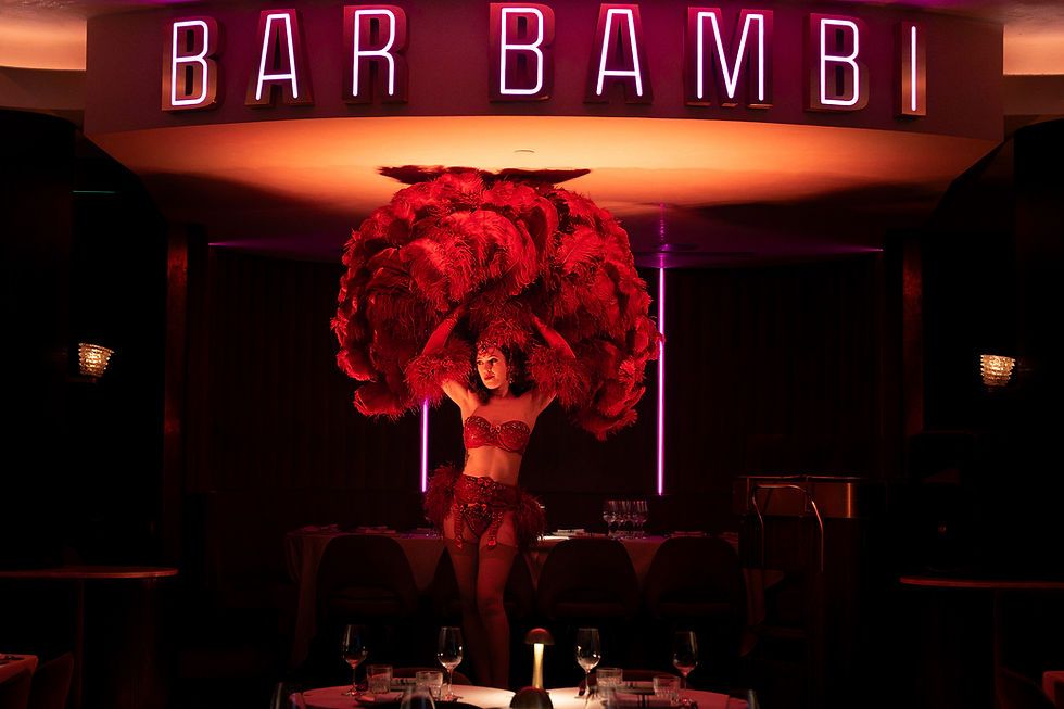 BAR BAMBI-1.jpg